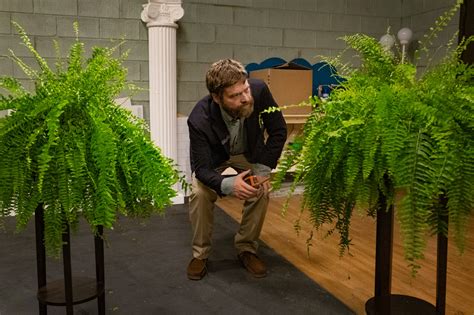 Can 'Between Two Ferns: The Movie' Save Netflix? | Arts | The Harvard ...
