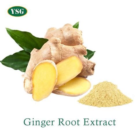 gingerol extract ysg