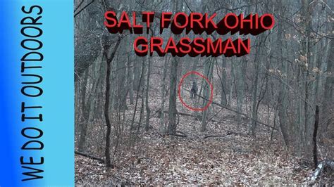 Salt Fork Ohio Grassman Bigfoot Sasquatch In 2023 Bigfoot