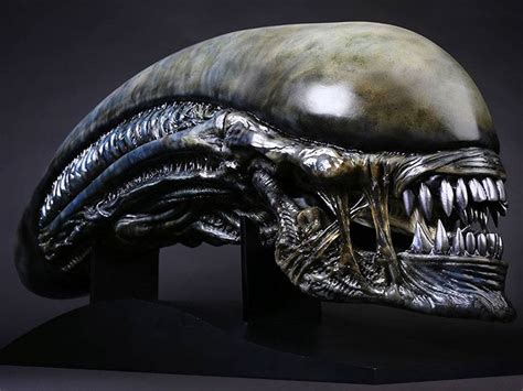 During the events of alien: Alien: Covenant Xenomorph Head Life-Size Prop Replica