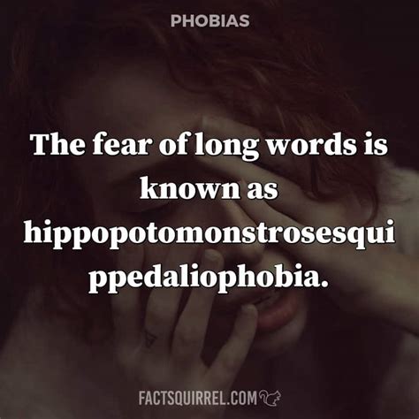 The Fear Of Long Words Is Known As Hippopotomonstrosesquippedaliophobia