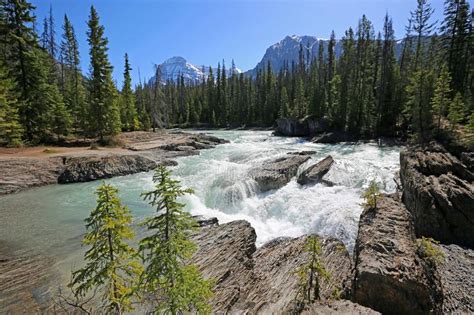 Landscape With Waterfall On Kicking Horse River Stock Image Image Of