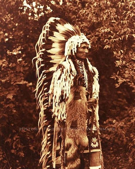 Cayuse Indian Chief Umapine Vintage Photo Native American Old West