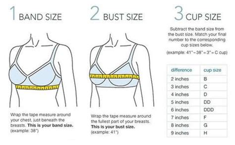 SIZE CHART Full Cup Bra Bra Size Charts Full Cup