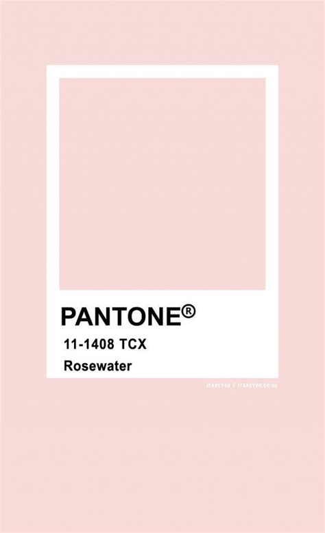 Pantone Color Rosewater Pantone Color Pantone Pink Pastels Pantone