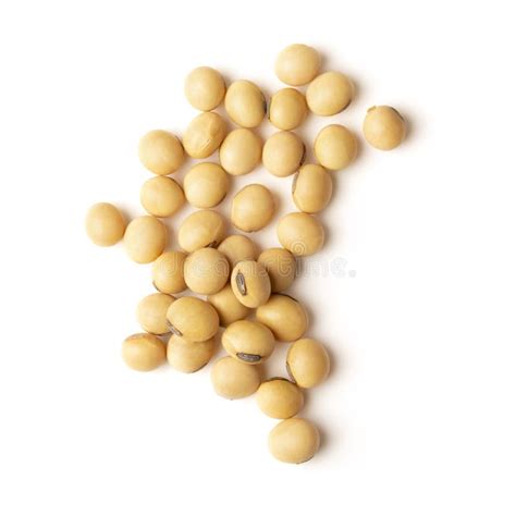 Close Up Soybean Isolated On A White Background Stock Photo Image Of