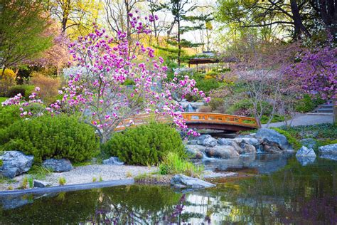 Beautiful Zen Garden Ideas For Backyard Best Garden Gallery Hot Sex
