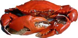 Maka terhasillah asam pedas simple versi saya. CORAT CORET: Resepi Masakan Ketam