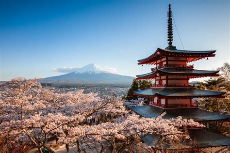 The 9 Best Japan Tours Of 2021