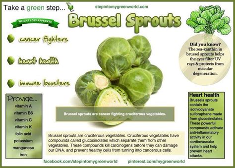 How To Grow Organic Brussels Sprouts From Seed