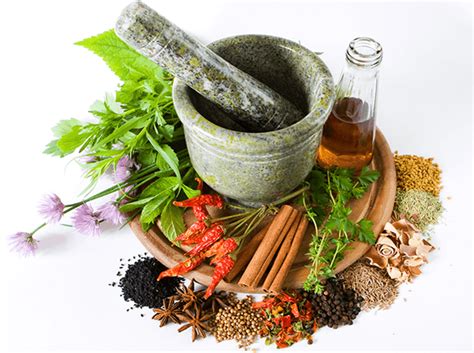 Herbal Medicine Southport Physical Therapy