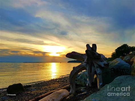 Driftwood Beach Sunset Photograph By Kristi Blades Fine Art America