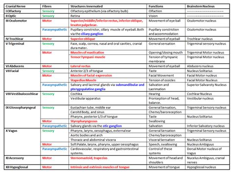 Cranial Nerves | almostadoctor