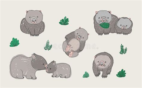 Set Of Cute Young Wombat In Various Poses Adult Animal With Cub Hand