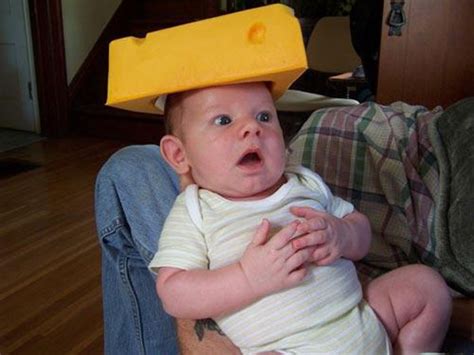 Fresh groceries are now available on happyfresh. People Naming Their Babies 'Cheese' | Incredible Things