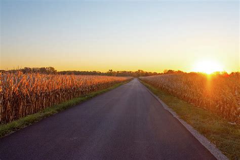 Country Road At Sunrise With Corn Fields Howard County Indiana