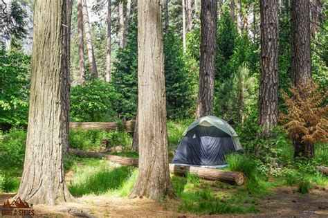 All About Camping In Yosemite National Park