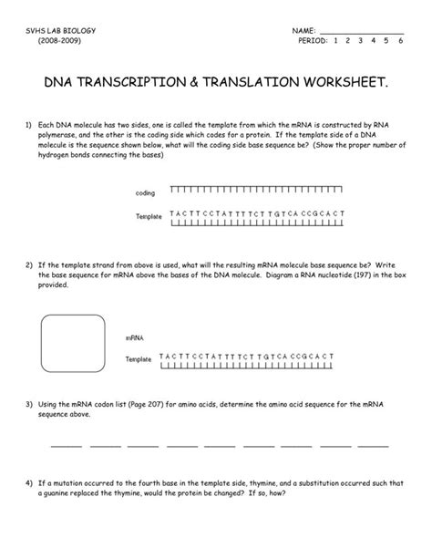 A t g t g a c a g t t t g c a. Transcription And Translation Worksheet — excelguider.com