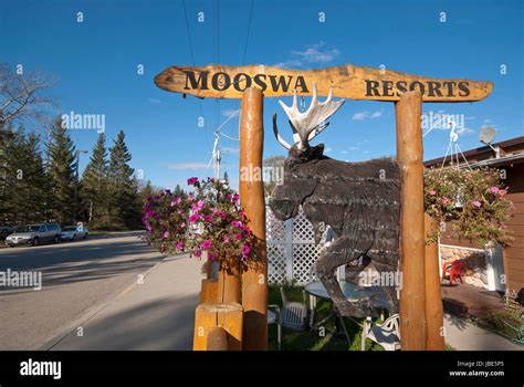 Wooden Sign Of Mooswa Resorts In Wasagaming Riding Mountain National