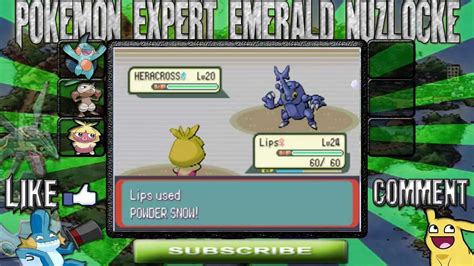 Pokemon Expert Emerald Nuzlocke Pt6 Youtube