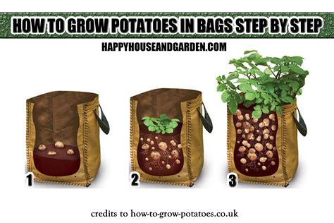 How To Grow Potatoes In Bags Step By Step Happy House And Garden