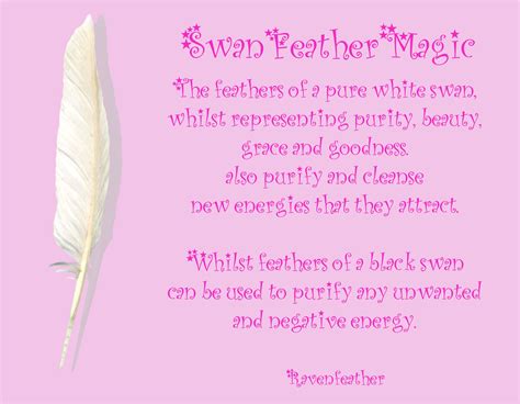 Swan feather- Pinned by The Mystic's Emporium on Etsy | Feather magic, Feather meaning, Feather
