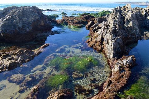 Crystal Cove Tide Pools Laguna Beach Ca Team Black Sheep Airsoft