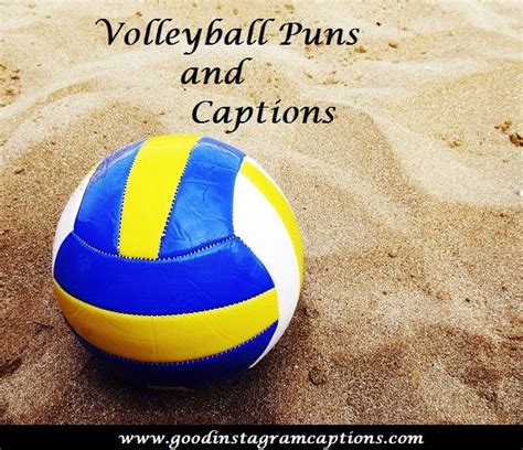 Funny Beach Volleyball Quotes Shortquotescc