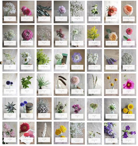 Maybe you would like to learn more about one of these? les fleurs de septembre | Fleurs mariage septembre ...