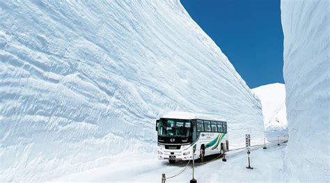 Tateyama Kurobe Alpine Route And Snow Wall Day Trip From Nagoya Klook
