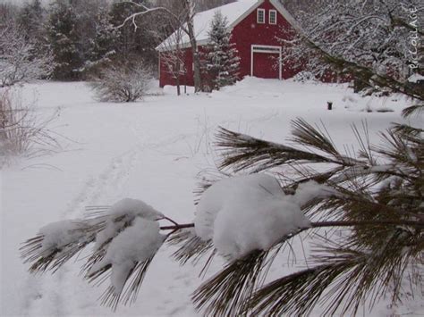 Pin By Leslie Radcliffe On Snow Winter Scenery Maine Winter Winter