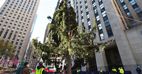 Watch The 2020 Rockefeller Christmas Tree Has Arrived