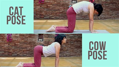 The cat pose (marjaryasana) in yoga stretches and strengthens your spine to help improve your posture and balance. Pregnancy Fitness: Cat Cow Pose for back - Prenatal Yoga ...