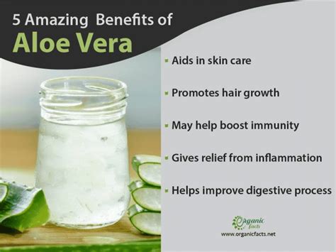 Proven Benefits Uses Of Aloe Vera Organic Facts