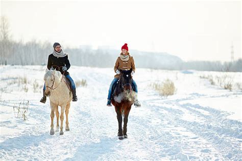 But what types of gear should you invest in? Royalty Free Horseback Riding Winter Pictures, Images and ...