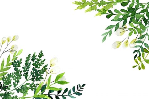 Premium Vector Corner Botanical Background Greenery With Leaves And