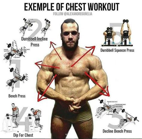 Exercise Chest Lower Chest Workout Chest Workout For Men Chest Workout Routine Chest Workouts