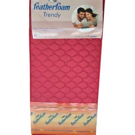 Memory foam mattresses are known to cost quite a lot, typically in the thousands. Feather Foam Mattress, Size: 35 x 72 inch, Rs 3475 /piece ...