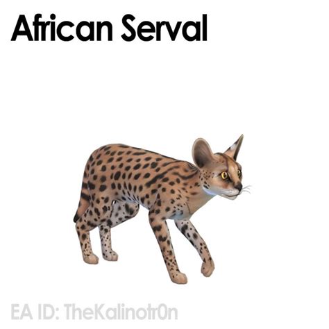 African Serval Silver Fox Grizzly Bear And Otter Sims 4 Pets