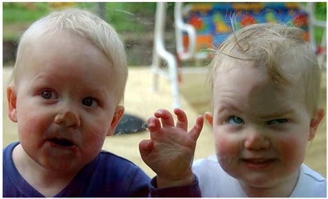 Funny Twin Babies Picture Put Their Faces Against The