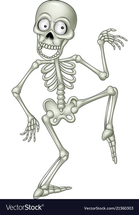 Cartoon Skeleton Pictures ~ Cute Skeleton Cartoon Royalty Free Vector