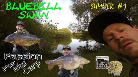 Passion For Big Carp Bluebell Swan Summer 1 Youtube