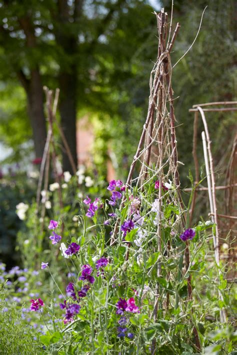 Ideas To Steal 10 Ways English Gardens Borrow From France Gardenista