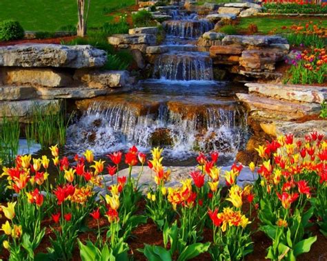 Waterfalls And Tulips Download Hd Wallpapers And Free Images