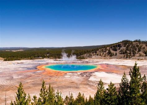 Highlights Of Yellowstone National Park Travel And Dream National