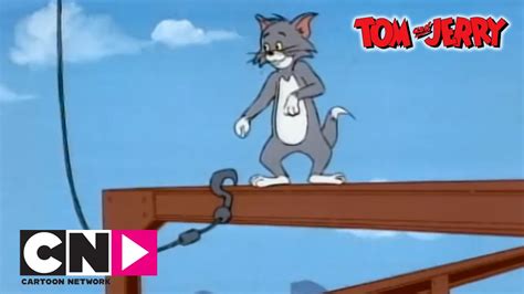 Tom Jerry Cartoon N Realityadams