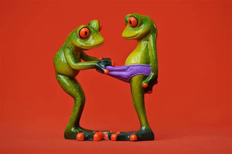 Frogs Curious Funny Figures Cute Underpants Look Fun Curiosity