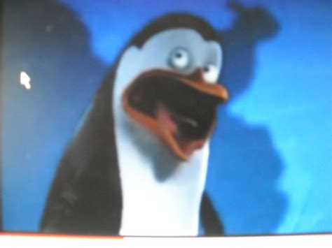 Kowalski Screaming Penguins Of Madagascar Photo Fanpop