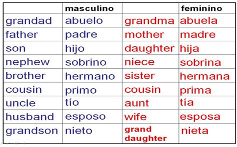 Basic Spanish Words List Comprendo Y Expreso Mis Ideas Basic
