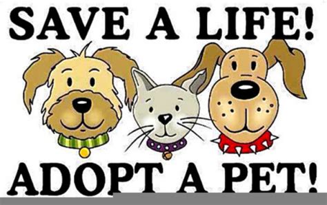 Animal Shelter Images Clip Art 20 Free Cliparts Download Images On